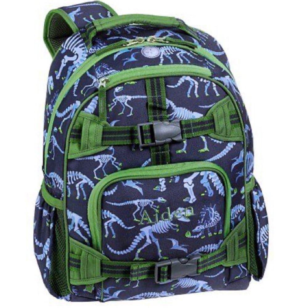 Pottery Barn Kids Bag pack